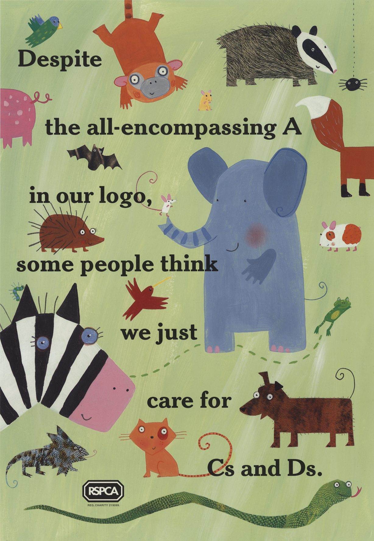 Rspca Stuff From The Loft