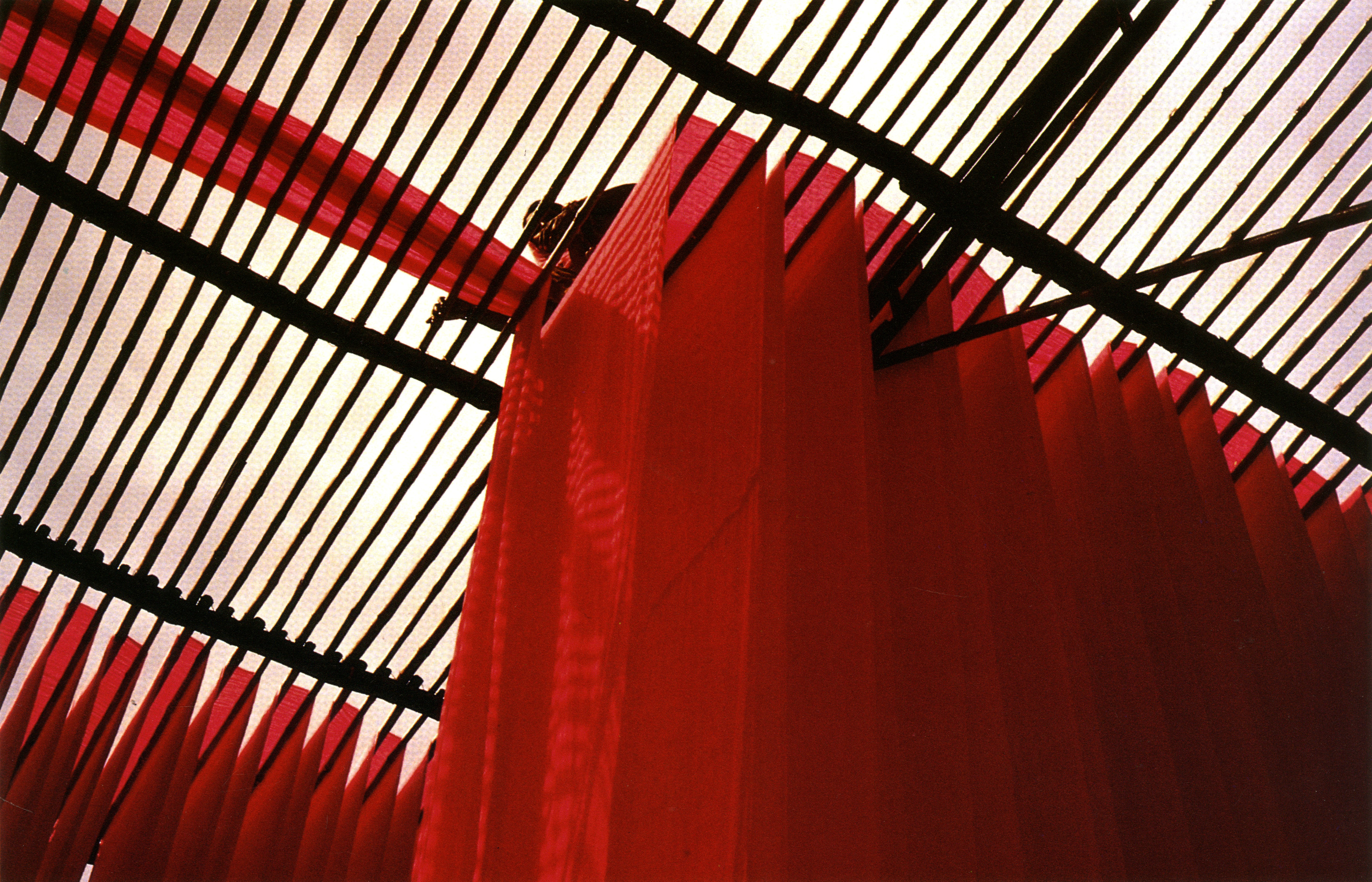 Max Forsythe, 'Red Dye', From 'Colour Prejudice'-01