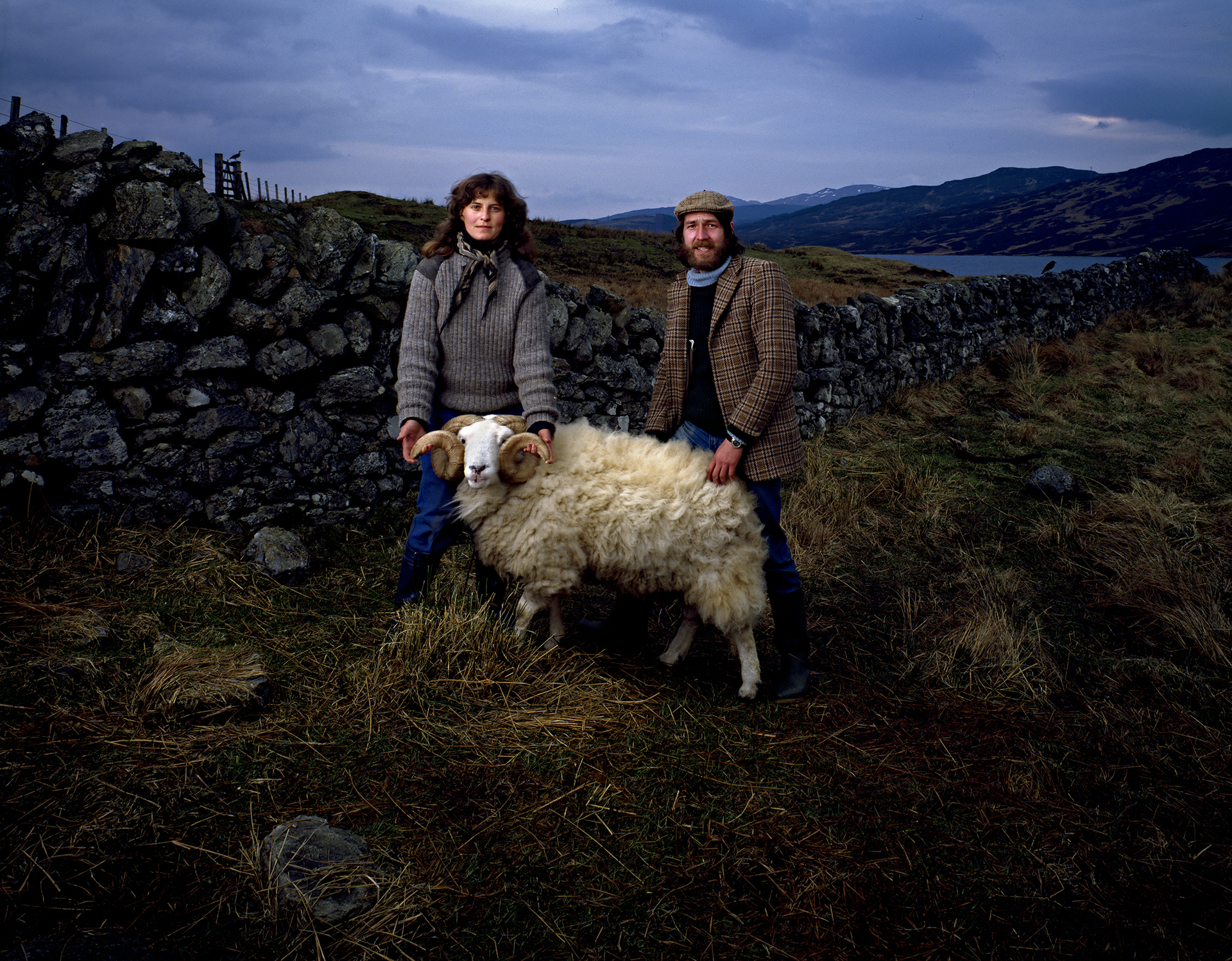 sheep_farmers_BARNEY
