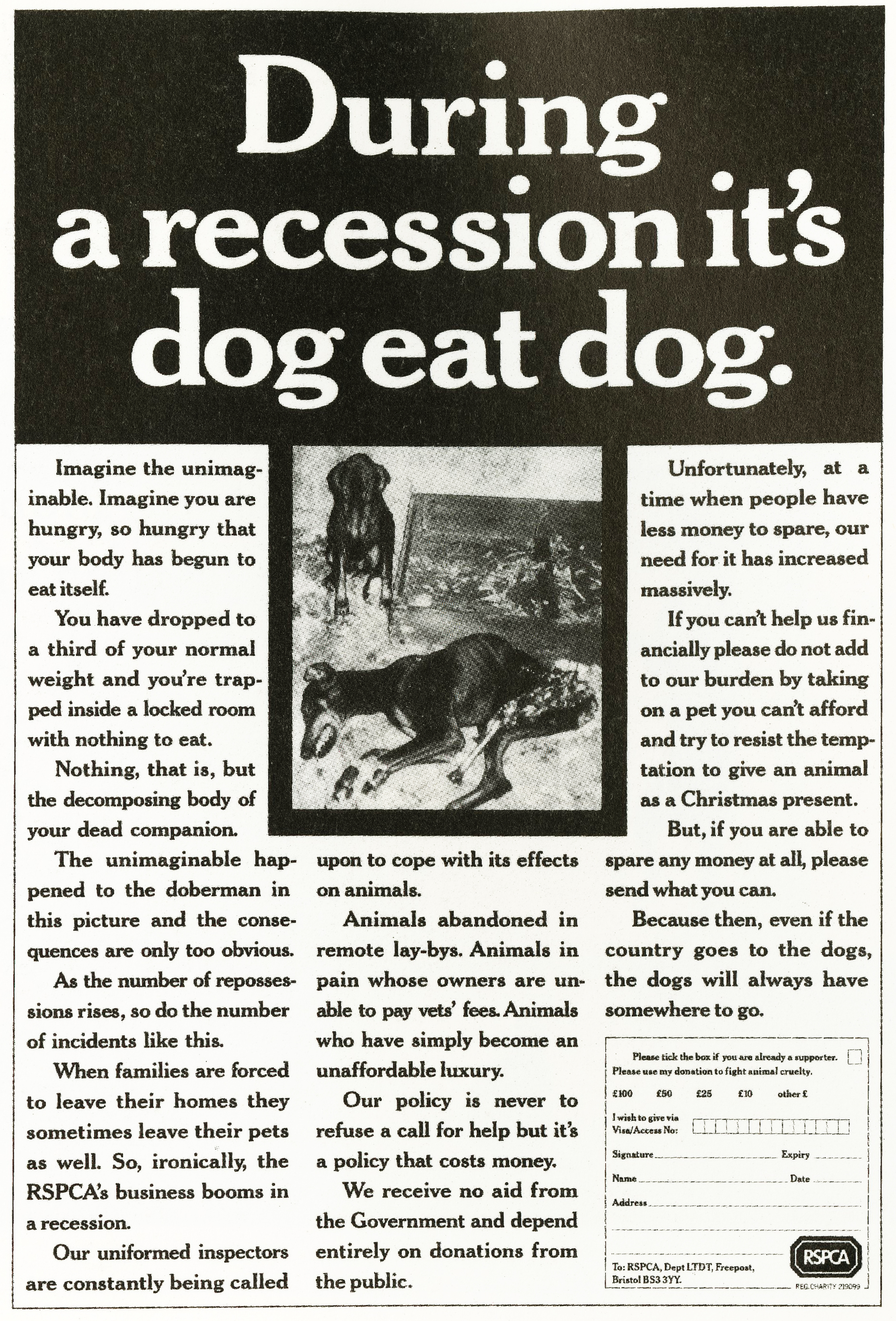 'During The Recession' RSPCA, Peter Souter, AMV-01.jpg