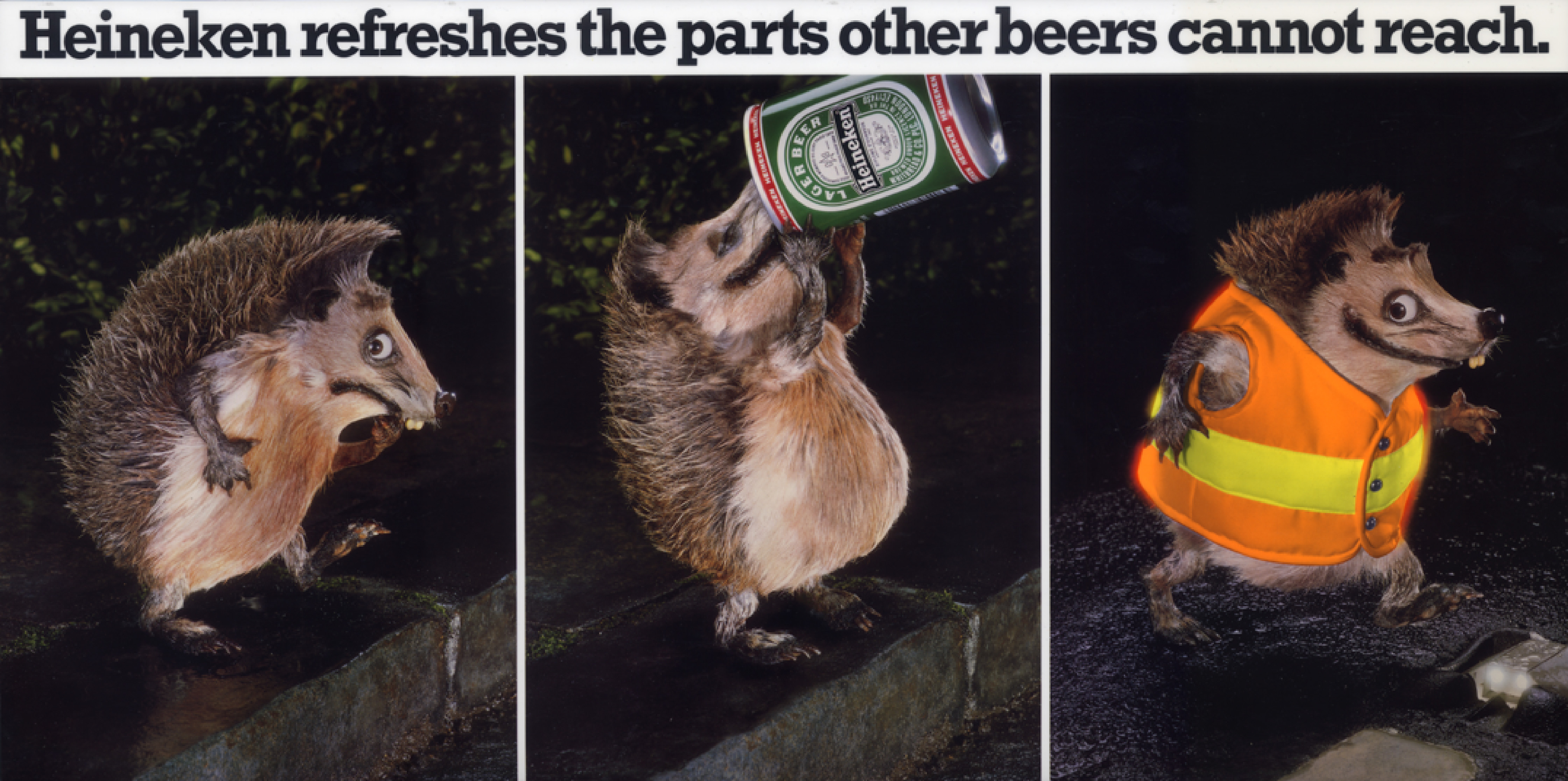 Heineken "Hedgehog"-01.jpg